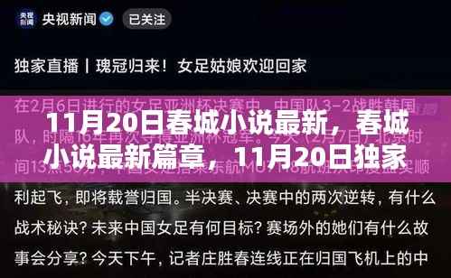 春城小说独家揭秘,最新篇章揭秘