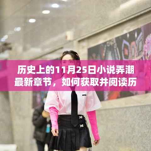 历史上的11月25日小说最新章节获取与阅读指南,详细步骤解析