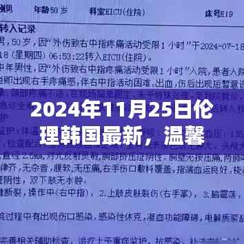 温馨日常,伦理韩国小记 2024年11月25日