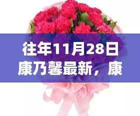 历年11月28日康乃馨回顾,最新花语与深远影响