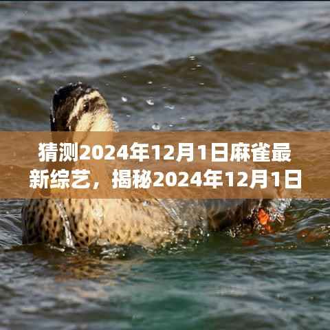 揭秘2024年麻雀综艺新动向,娱乐盛宴即将上演的惊喜预测(独家标题)