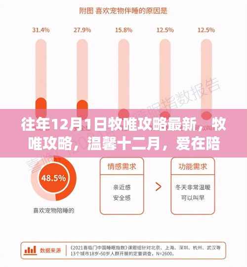 温馨十二月，牧唯攻略最新指南，爱在陪伴中成长