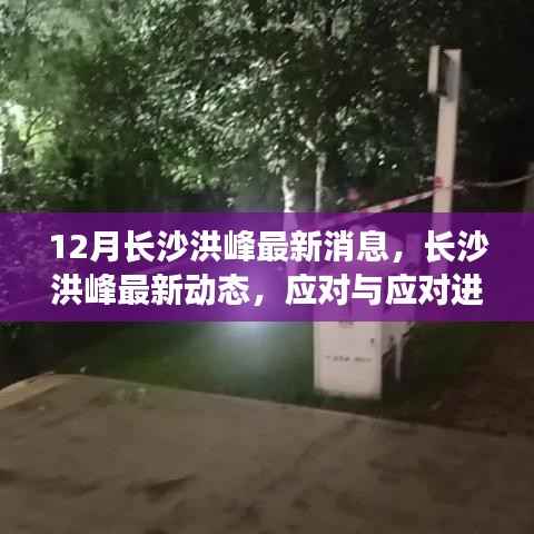 长沙洪峰动态更新，应对进展分析与科普解读