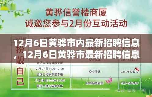 12月6日黄骅市最新招聘信息，就业选择中的机遇与挑战