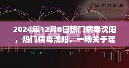 谣言与真相的探讨，聚焦沈阳热门病毒事件，2024年12月6日纪实报道