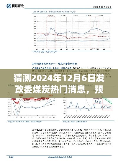 洞察未来,2024年发改委煤炭行业趋势与市场反应预测报告发布在即