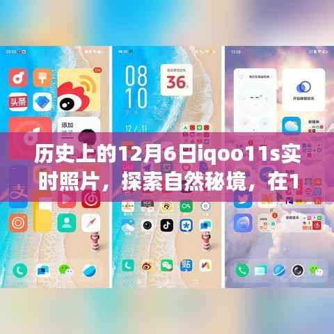 iQOO 11S探索自然秘境,一场心灵之旅的实时照片回顾,纪念历史上的12月6日