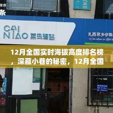 揭秘深藏小巷的特色小店,12月全国实时海拔高度排名榜探秘