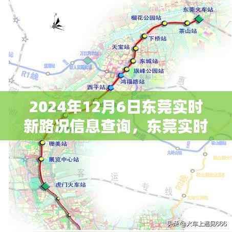 2024年12月6日东莞实时路况信息查询指南，重要性及查询策略探讨