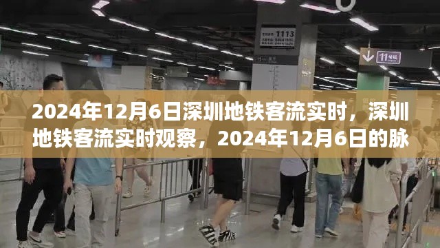 2024年12月6日深圳地铁客流实时观察，脉动与影响