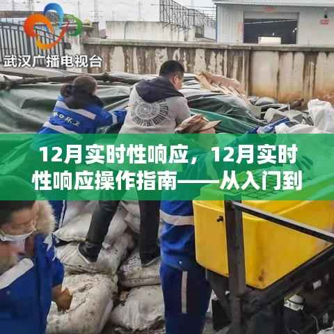 12月实时性响应操作指南,从新手到专家