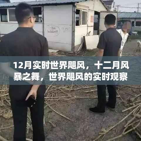 实时观察与深度剖析，世界飓风在十二月的风暴之舞