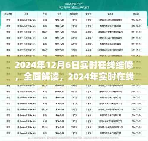 深度解读,2024年实时在线维修服务深度评测——以在线维修为例