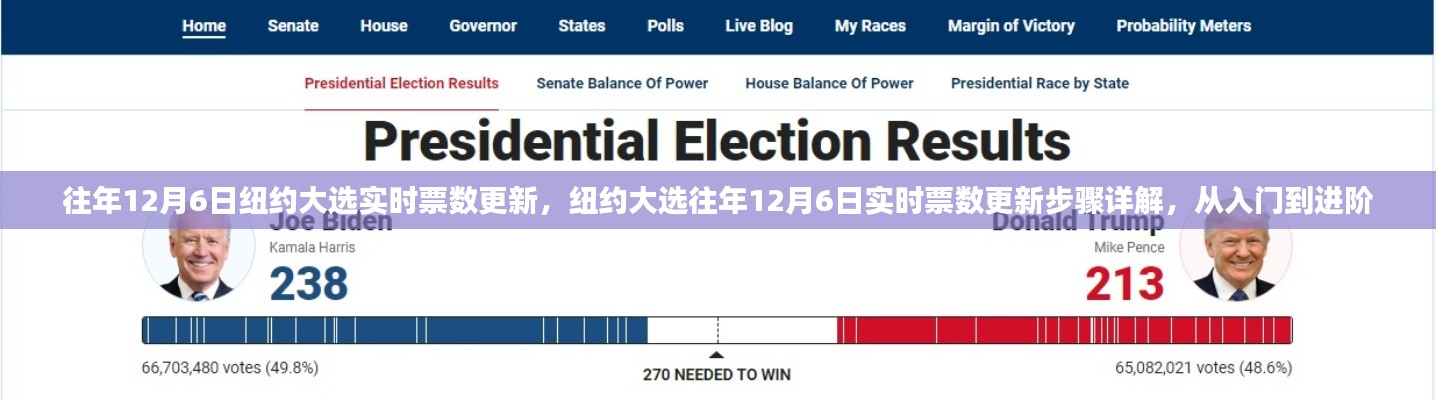 纽约大选历年12月6日实时票数更新详解，入门到进阶指南