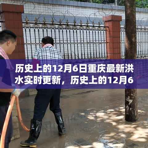 历史上的12月6日重庆洪水实时更新，全面评测与深度介绍
