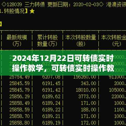 2024年可转债实时操作深度解析与教学体验报告,从入门到精通的实战指南