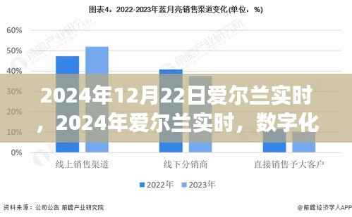 数字化时代的双刃剑效应,爱尔兰在2024年的实时展望与挑战