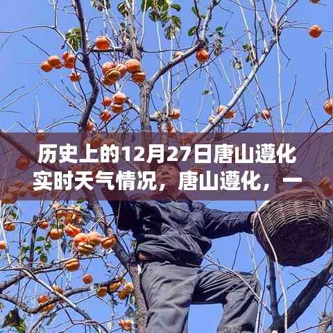 风雪中的唐山遵化，历史实时天气与深厚友情回顾