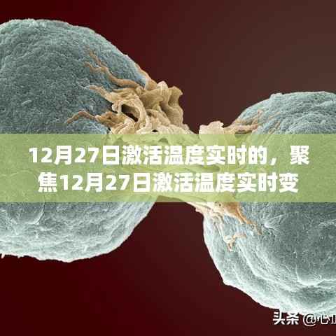 聚焦激活温度实时变化,探讨利弊的启示(12月27日实时更新)