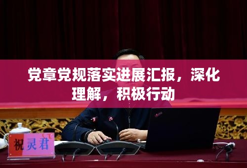 党章党规落实进展汇报,深化理解,积极行动