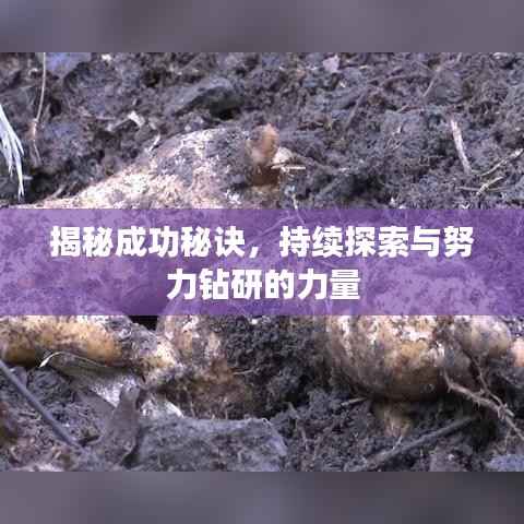 揭秘成功秘诀,持续探索与努力钻研的力量