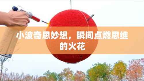 小波奇思妙想，瞬间点燃思维的火花