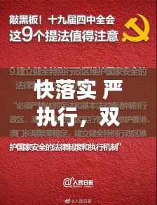 快落实 严执行,双重保障下的高效执行力构建