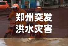郑州突发洪水灾害,如何应对与防范?
