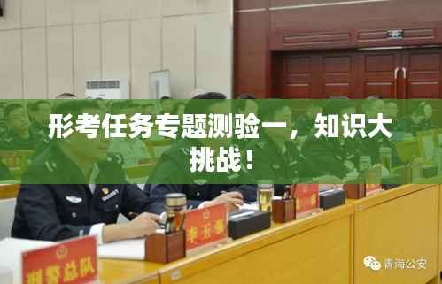 形考任务专题测验一,知识大挑战!