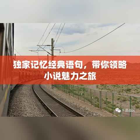 独家记忆经典语句，带你领略小说魅力之旅