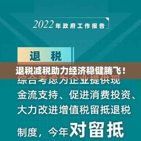 退税减税助力经济稳健腾飞!