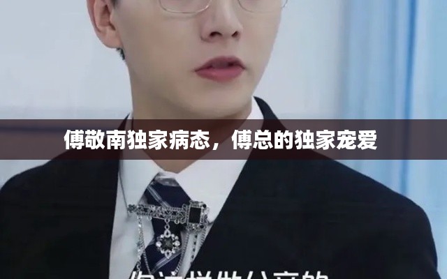 傅敬南独家病态,傅总的独家宠爱