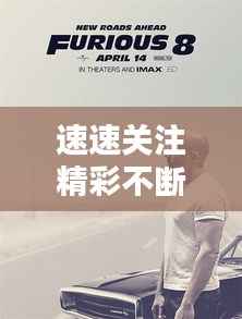 速速关注精彩不断,关注的速度