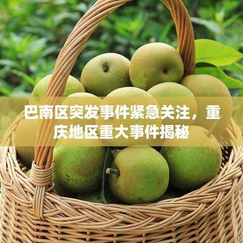 巴南区突发事件紧急关注,重庆地区重大事件揭秘