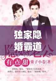 独家隐婚霸道总裁,隐婚霸道总裁小说