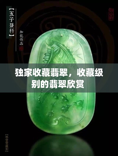 独家收藏翡翠,收藏级别的翡翠欣赏