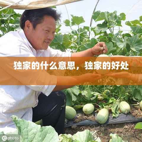 独家的什么意思，独家的好处 