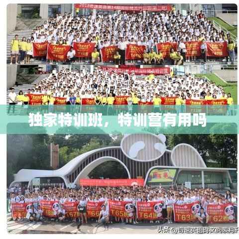 独家特训班,特训营有用吗