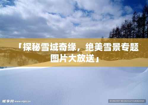 「探秘雪域奇缘,绝美雪景专题图片大放送」