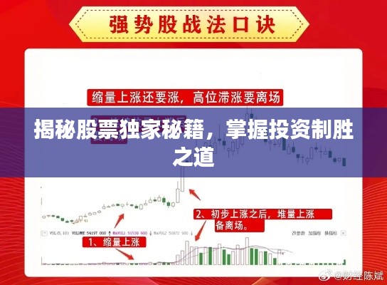 花开无言 第7页