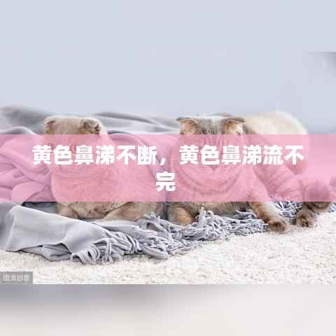 黄色鼻涕不断,黄色鼻涕流不完