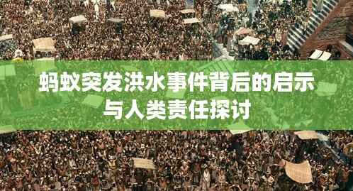 蚂蚁突发洪水事件背后的启示与人类责任探讨