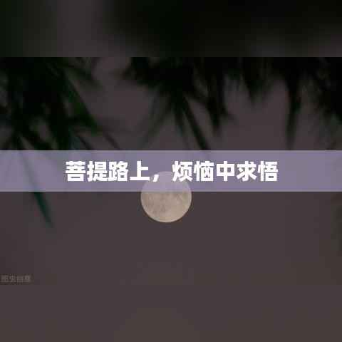 菩提路上，烦恼中求悟