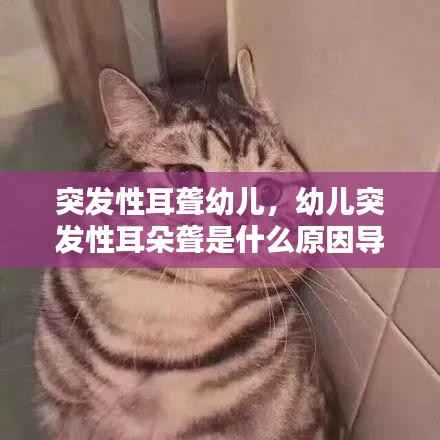 突发性耳聋幼儿,幼儿突发性耳朵聋是什么原因导致的