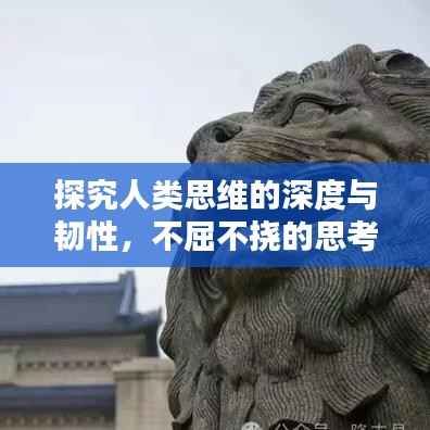 探究人类思维的深度与韧性,不屈不挠的思考力量