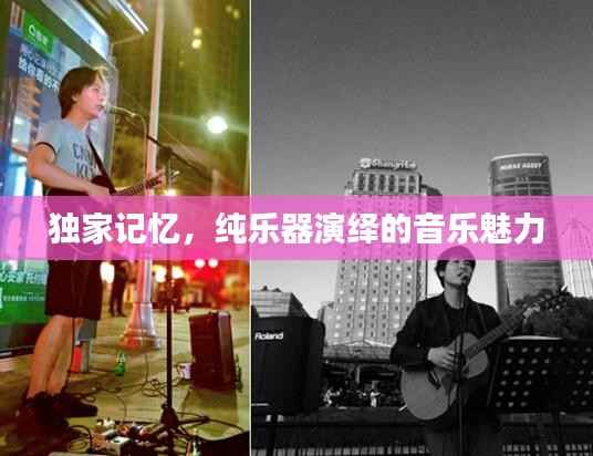 独家记忆，纯乐器演绎的音乐魅力