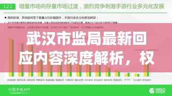 武汉市监局最新回应内容深度解析,权威声音,公众关注焦点解读