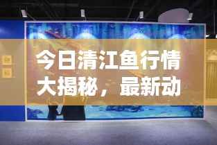今日清江鱼行情大揭秘,最新动态一网打尽