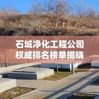 石城净化工程公司权威排名榜单揭晓！