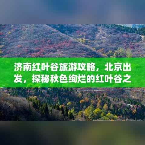 济南红叶谷旅游攻略,北京出发,探秘秋色绚烂的红叶谷之旅